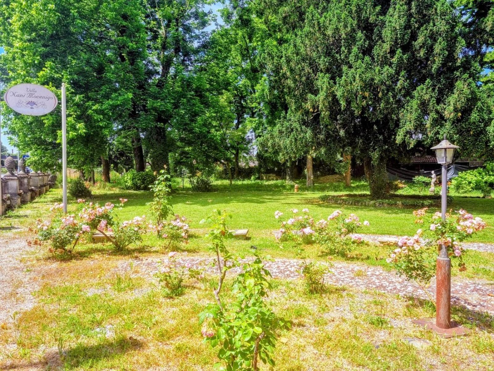 Villa Nani Mocenigo Dolo Dış mekan fotoğraf